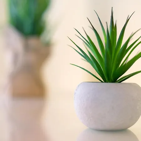 Apartment Casa Paco 1 *