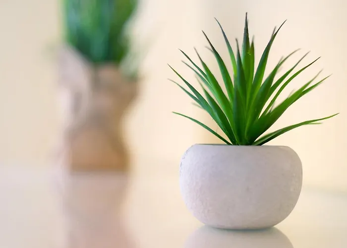 Apartamento Casa Paco 1 *